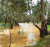 Saddliers Waterhole and Hamburg Creek - Southport Accommodation