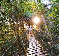 Tree Top Walkway - Accommodation Southport