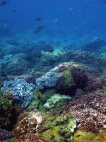 Bargara QLD Southport Accommodation