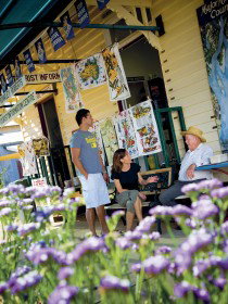 Alpha Petrified Wood - Accommodation Southport 0