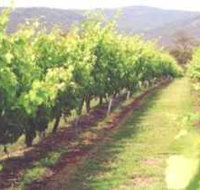 Girraween Estate - Southport Accommodation