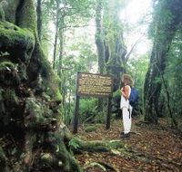 Tooloona Creek circuit - Accommodation Southport