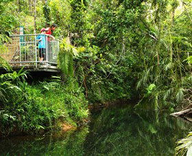 Djiru National Park - Southport Accommodation 0