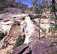 Emerald Creek Falls - Southport Accommodation