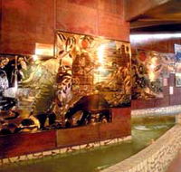 Riversleigh Fossil Centre