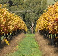 Wild Dog Winery  Restaurant - Accommodation Southport