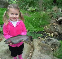 Wild Food Farm  Cafe - Southport Accommodation