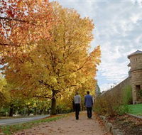 Indigo Gold Trail - Accommodation Southport