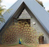 Halls Gap Zoo - Southport Accommodation