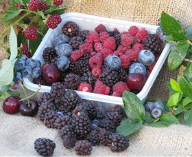 Bright Berry Farms - Accommodation Southport 0