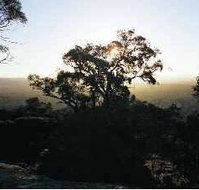 Yarra Flats - Accommodation Southport