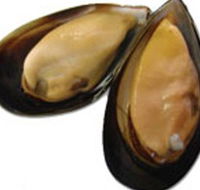 Sea Bounty - Accommodation Southport