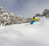 Mt Buller and Mt Stirling Alpine Resort - Southport Accommodation