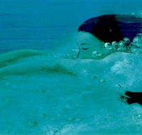 Muse - Accommodation Southport