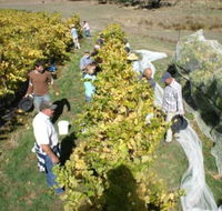 Blakes Estate Winery - Southport Accommodation