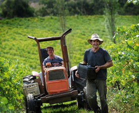Kellybrook Winery & Kelly Brothers Cider - Southport Accommodation 0