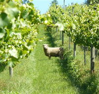 Passing Clouds - Accommodation Southport