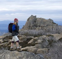 Mount Buffalo National Park - Accommodation Southport