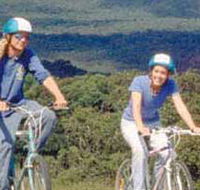 Lysterfield Park - Accommodation Southport