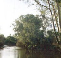 Banksia Park - Accommodation Southport