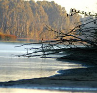 Barmah National Park - Southport Accommodation