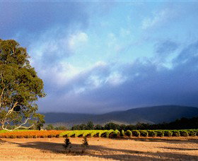 Mount Avoca - Southport Accommodation 0