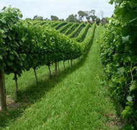 The Cups Estate - Accommodation Southport