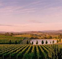 Oakridge Wines - Accommodation Southport