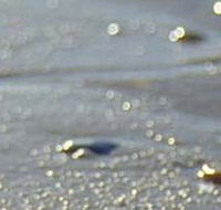 Cape Liptrap Coastal Park - Accommodation Southport