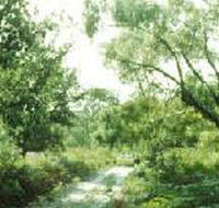 Holey Plains State Park - Accommodation Southport