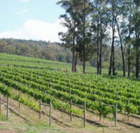 Piedmont Vineyard - Accommodation Southport
