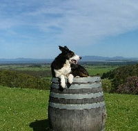 Windy Ridge Vineyard and Winery - Accommodation Southport