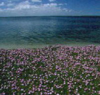 The Lakes National Park - Accommodation Southport