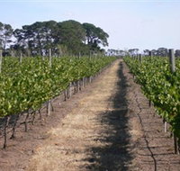 Mount Beckworth Wines - Accommodation Southport