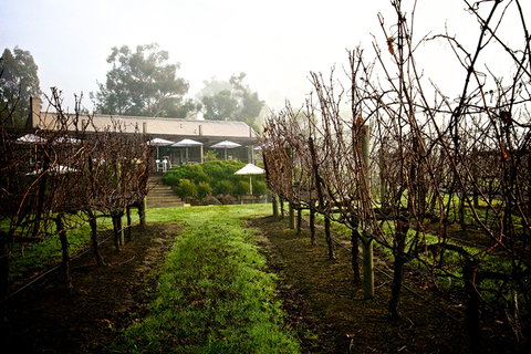 GREENSTONE VINEYARDS - Accommodation Southport 4