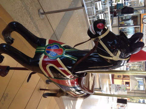 The Carousel - Southport Accommodation 4