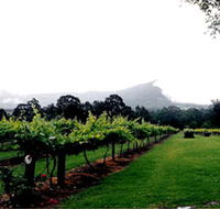 Cambewarra Estate Wines - Accommodation Southport