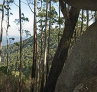 Gulaga National Park - Accommodation Southport
