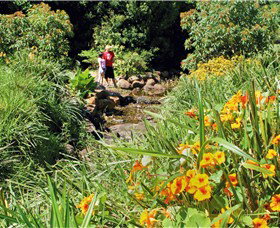 Bonaira Native Gardens - Accommodation Southport 0