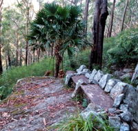 Wodi Wodi Walking Track - Accommodation Southport