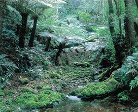 Deua National Park - Southport Accommodation 0