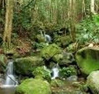 Budderoo National Park - Southport Accommodation