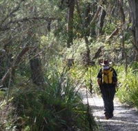 Barren Grounds Nature Reserve - Southport Accommodation