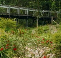 Eurobodalla Botanic Gardens - Accommodation Southport