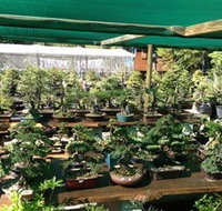 Bonsai at the Bay - Southport Accommodation