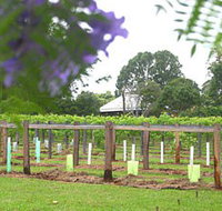 Douglas Vale Historic Homestead  Vineyard - Accommodation Southport