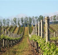 Philip Shaw Wines - Southport Accommodation