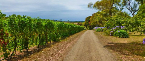 Merricks Estate - Accommodation Southport 1