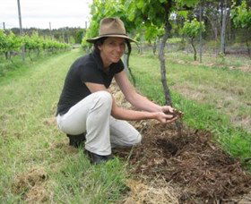 Twisted Gum Wines - Southport Accommodation 2