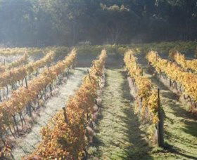 Twisted Gum Wines - Southport Accommodation 1